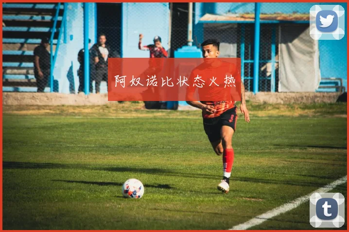 阿奴诺比状态火热