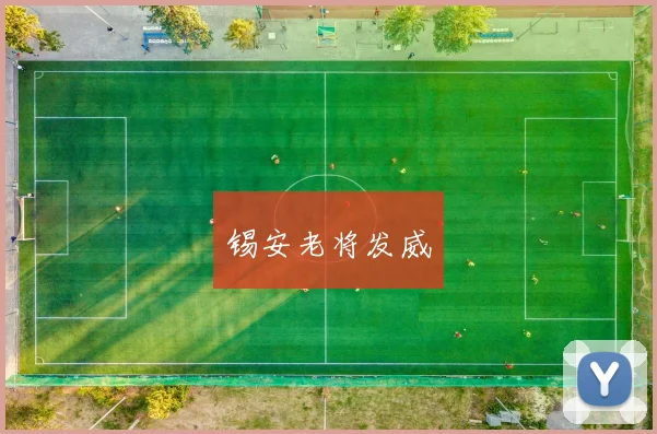 锡安老将发威