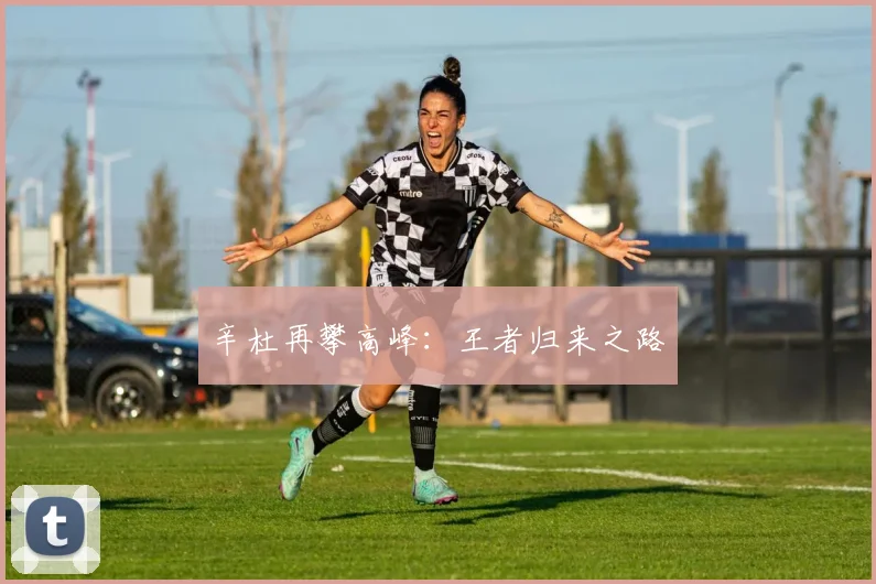 辛杜再攀高峰：王者归来之路