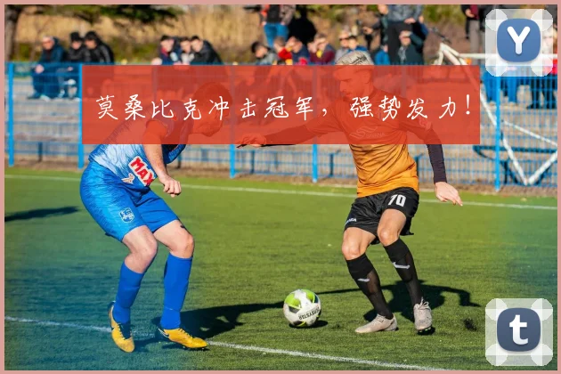 莫桑比克冲击冠军,强势发力!