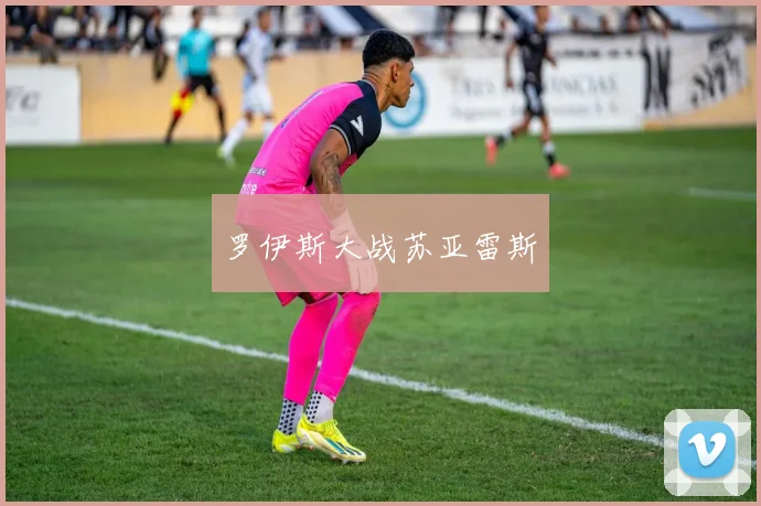 罗伊斯大战苏亚雷斯