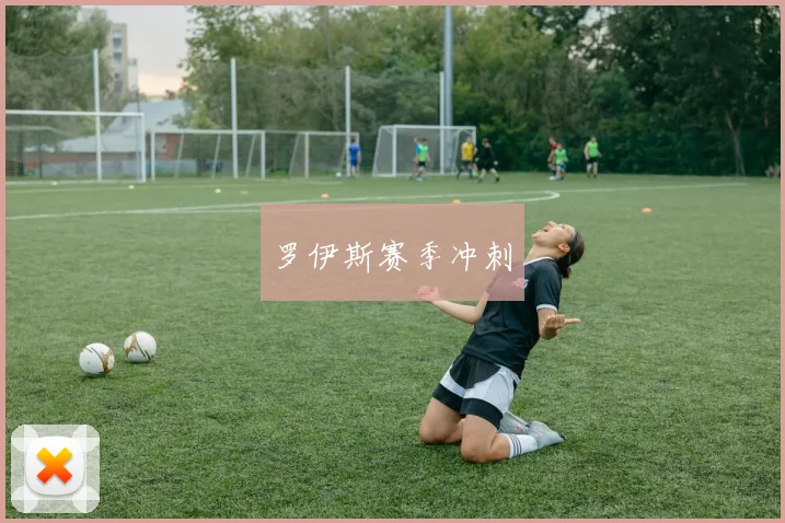 罗伊斯赛季冲刺