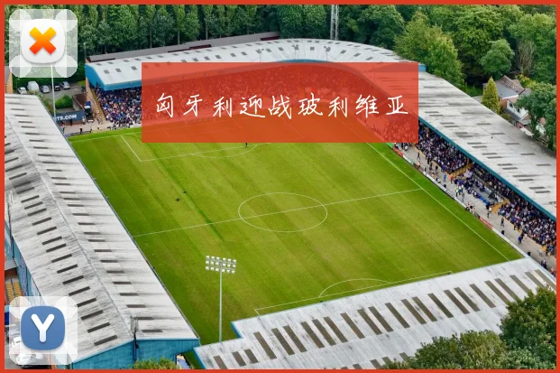 匈牙利迎战玻利维亚