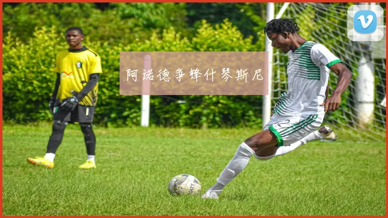 阿诺德争锋什琴斯尼