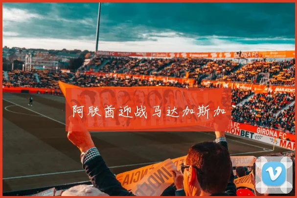 阿联酋迎战马达加斯加