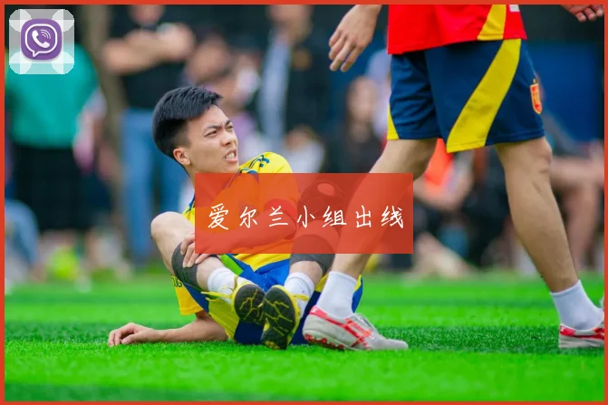 爱尔兰小组出线