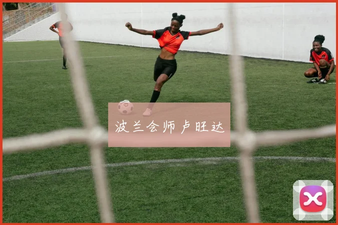 波兰会师卢旺达