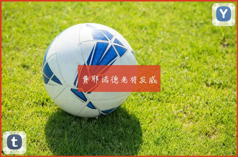 费耶诺德老将发威