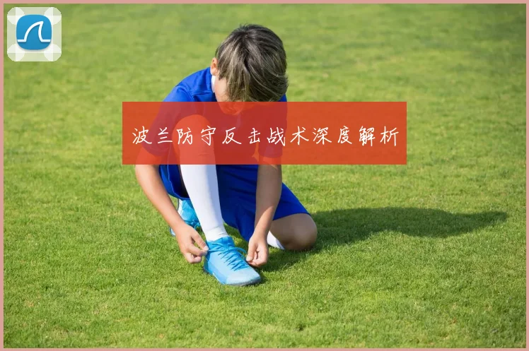 波兰防守反击战术深度解析