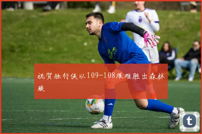 祝贺独行侠以109-108艰难胜出森林狼