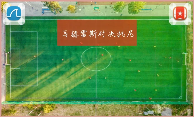 马赫雷斯对决托尼