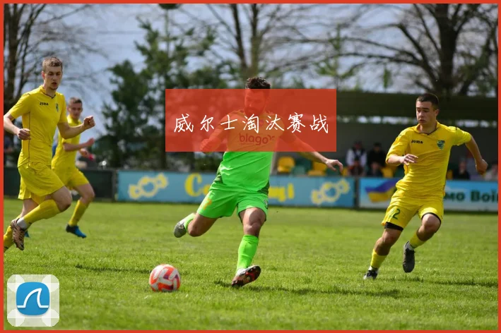 威尔士淘汰赛战