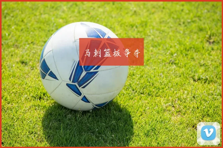 马刺篮板争夺