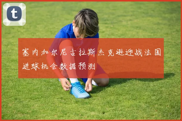 塞内加尔尼古拉斯杰克逊迎战法国进球机会数据预测