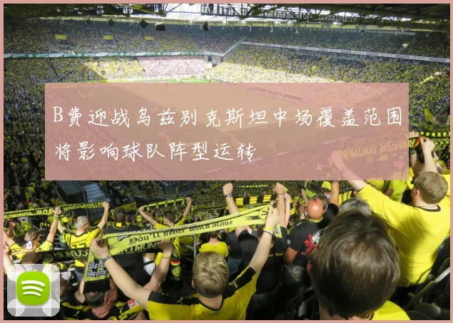 B费迎战乌兹别克斯坦中场覆盖范围将影响球队阵型运转