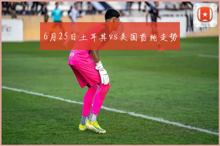 6月25日土耳其vs美国首轮走势